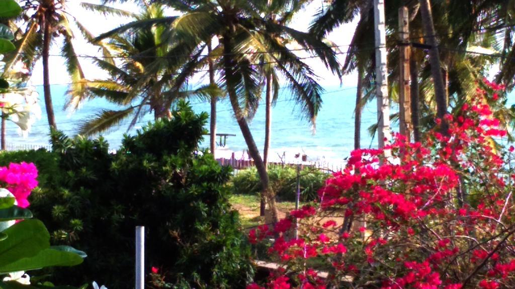 Sri Beach Bungalows And Villa マラウィラ エクステリア 写真