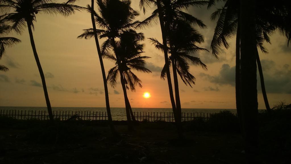 Sri Beach Bungalows And Villa マラウィラ エクステリア 写真